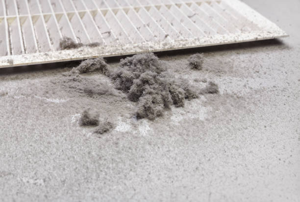 Best HVAC Maintenance and Cleaning  in Portales, NM