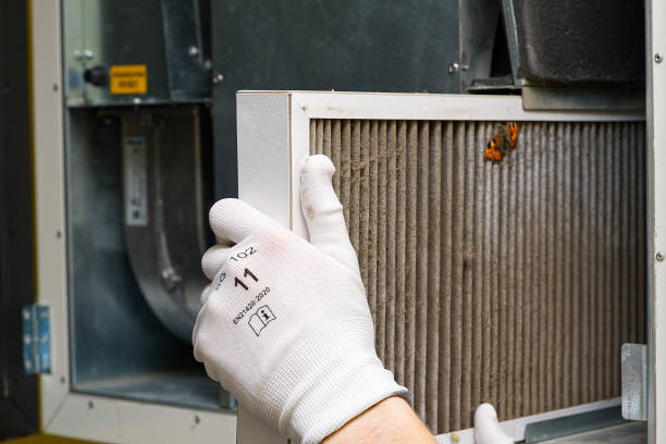 Best Home Air Vent Cleaning  in Portales, NM