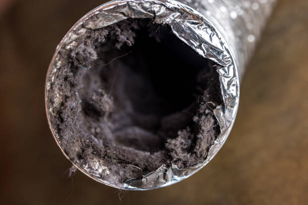 Best Air Duct Cleaning Near Me in NM