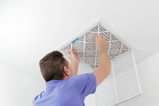 Best Air Vent Cleaning Services  in Portales, NM